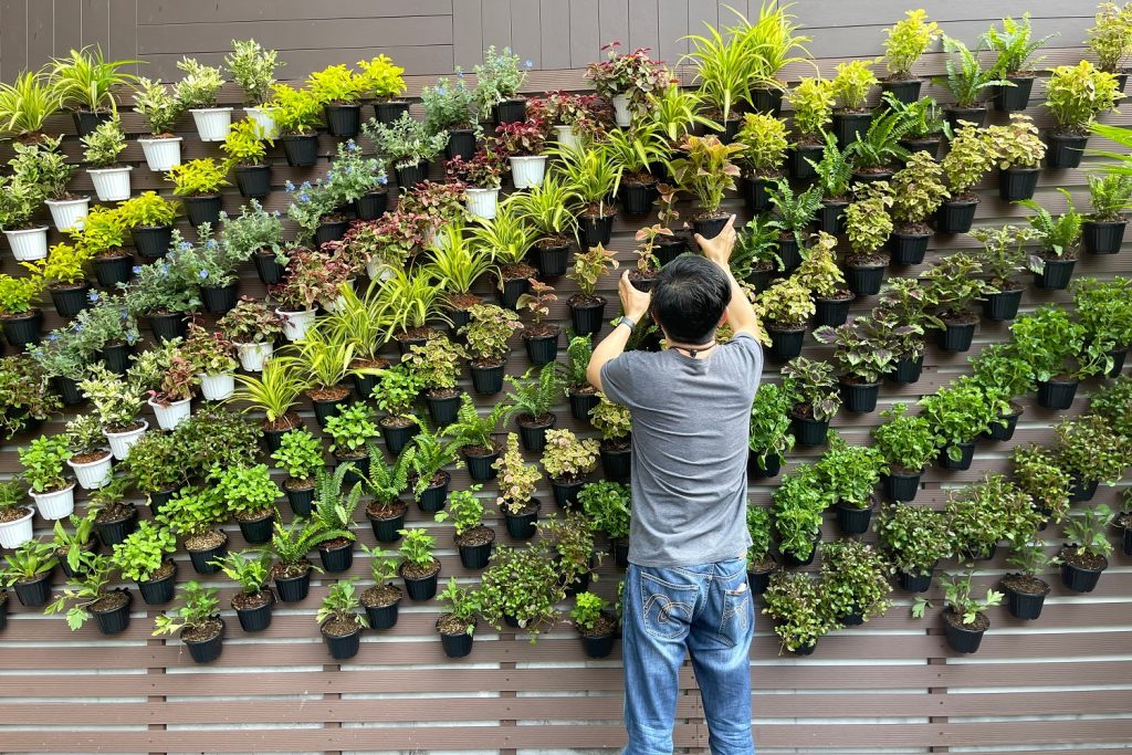 come abbellire un muro di cemento in giardino